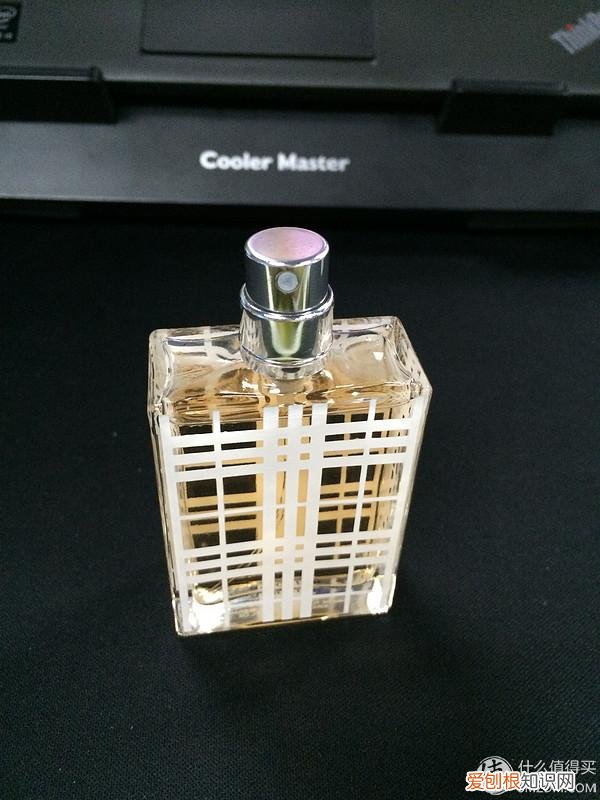 burberry brit