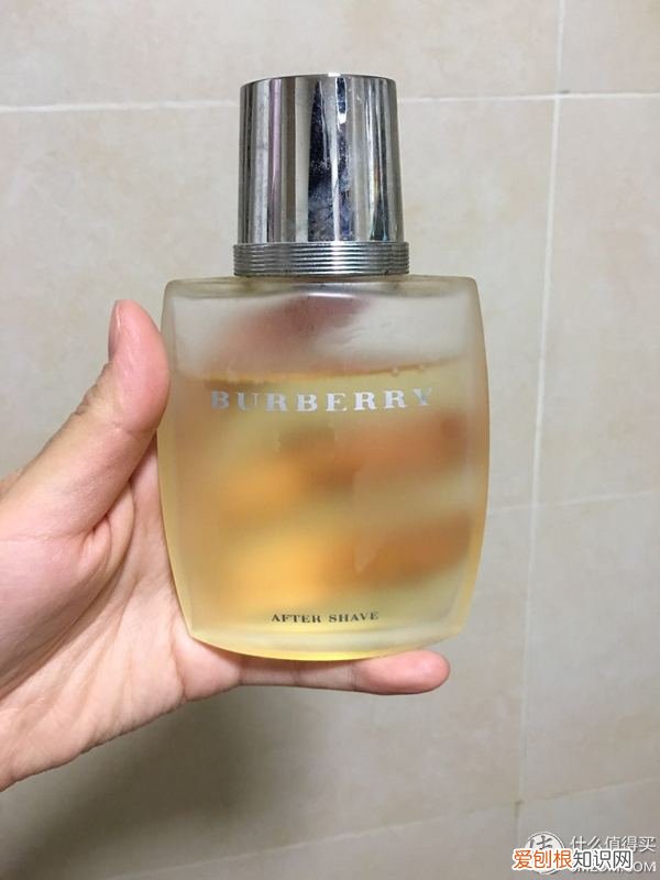 burberry brit