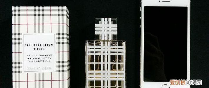 burberry brit