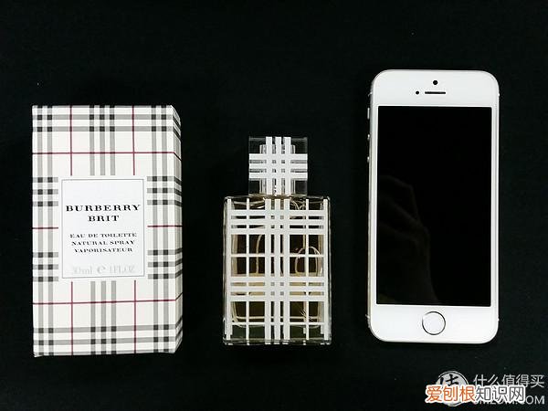 burberry brit