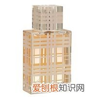 burberry brit