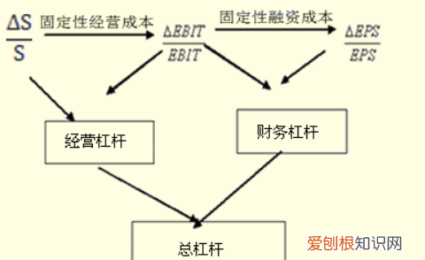 文献中dol什么意思，期刊论文的doi是什么意思
