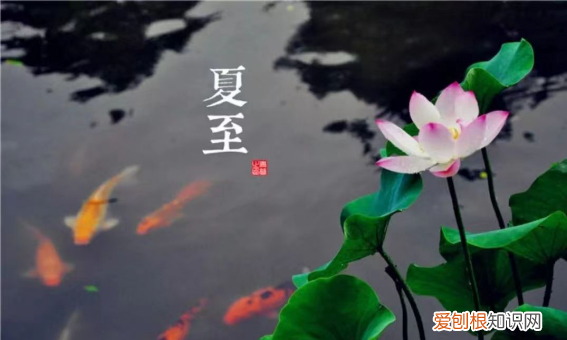寻觅造句二年级下册简单，寻觅的意思是什么二年级下册