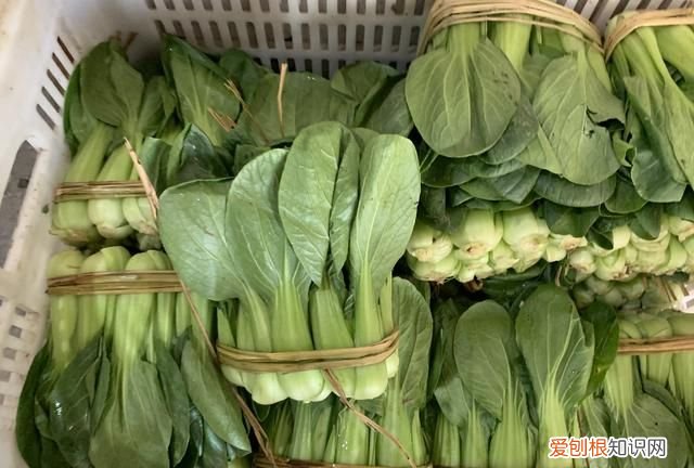 炒青菜如何炒出青菜翠绿不失水分