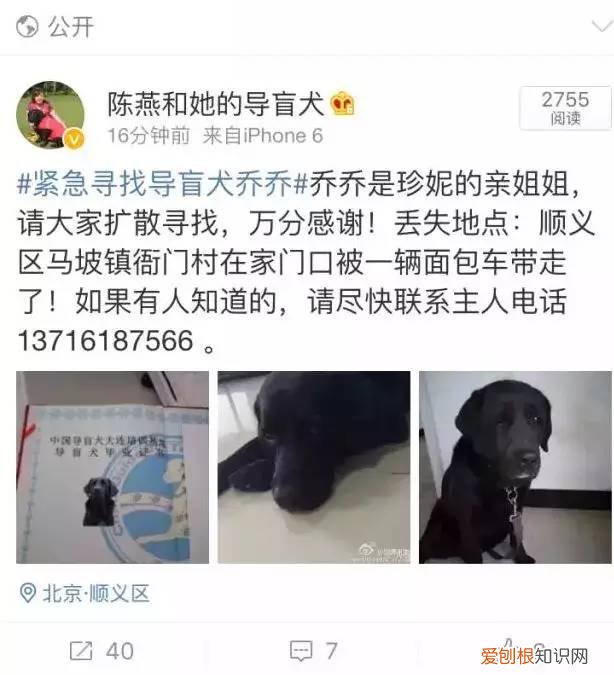 收服乔乔哪里可以看到