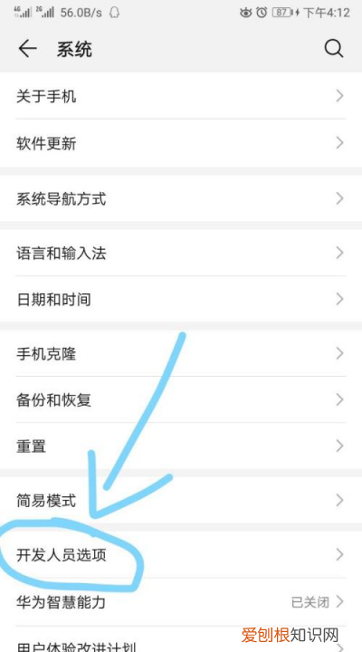 如何关闭手机的开发者模式，华为手机开发者模式怎么关闭