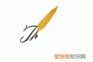 小龙虾虾头的黄是什么能吃吗