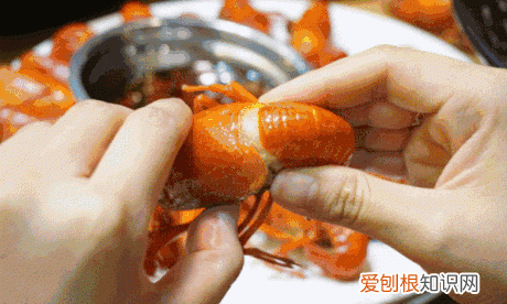 小龙虾虾头的黄是什么能吃吗