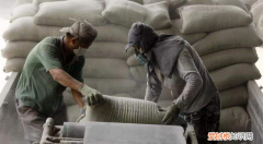 水泥尘肺和矽肺的区别