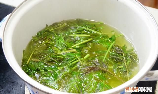 吃香椿时到底要不要焯水