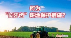 耕地长牙齿是什么意思，以前的菜地变成耕地后可以变成宅基地