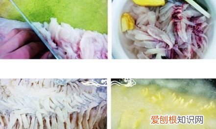 珊瑚鱼的做法，珊瑚鱼怎么做好吃