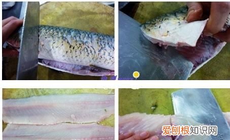 珊瑚鱼的做法，珊瑚鱼怎么做好吃