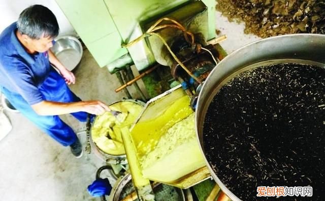油菜籽渣饼做肥料怎么给花施肥 家庭油菜籽种植技术