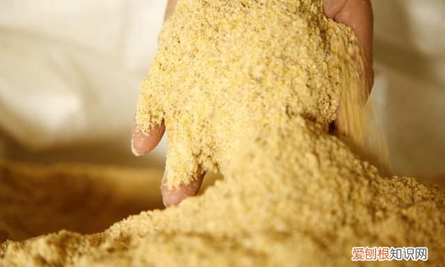 油菜籽渣饼做肥料怎么给花施肥 家庭油菜籽种植技术