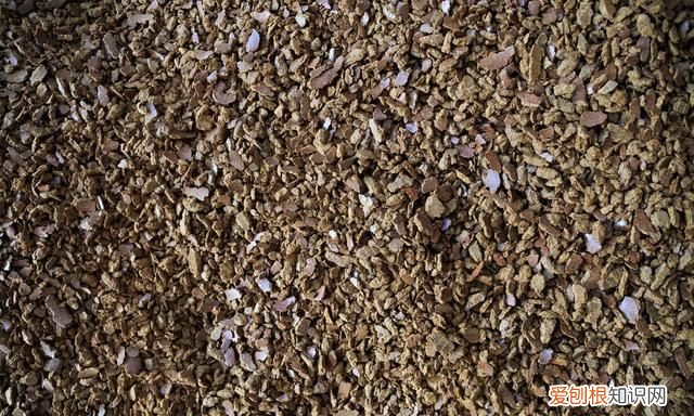 油菜籽渣饼做肥料怎么给花施肥 家庭油菜籽种植技术