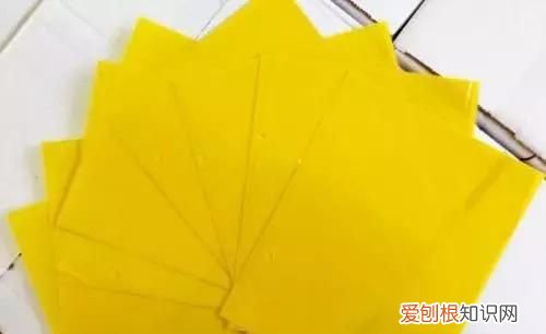 防虫粘板 物理防虫的方法有哪些