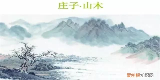 螳螂捕蝉黄雀在后是什么生物特征