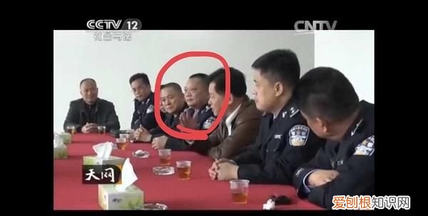 彭雄飞的原型是谁,激情岁月中的傅所长原型是谁