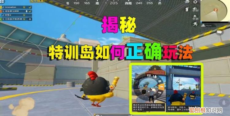 跟随队友进入特训岛有提示嘛