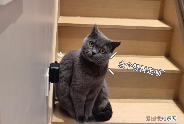 office办公软件免费版永久使用