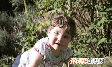 弘瑜的寓意