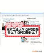 igpc是什么项目