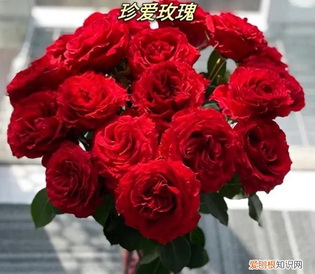 象征爱情的红玫瑰,象征爱情的玫瑰原来大多是假的