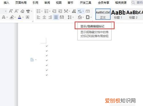 怎样去掉word中的回车符，word文档如何不显示回车符