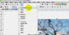 cdr中的剪切蒙版如何用