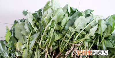 白萝卜咸菜的家常做法，萝卜咸菜的做法大全视频
