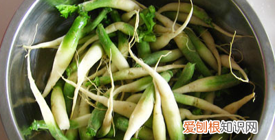 白萝卜咸菜的家常做法，萝卜咸菜的做法大全视频