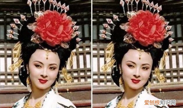 张铁林和他的八段感情