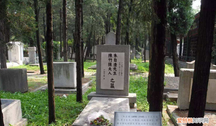 朱自清最后和谁葬在一起，朱自清滂卑故城主要内容