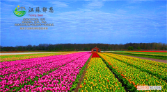 花海工程要怎么做呢