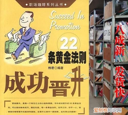 桦君的寓意