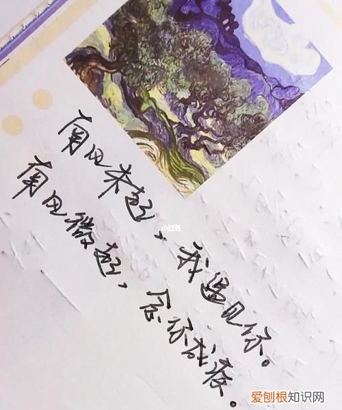 言熙取名是什么意思,南风未起我遇见你什么意思