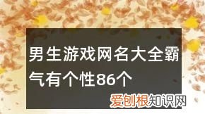 随枫的网名啥意思,铠枫的名字解释是什么意思