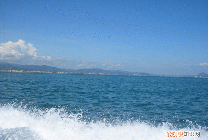 海嵛的寓意，海洋名字的寓意