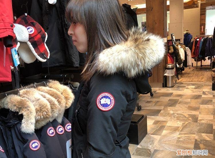 女士羽绒服品牌十大排名