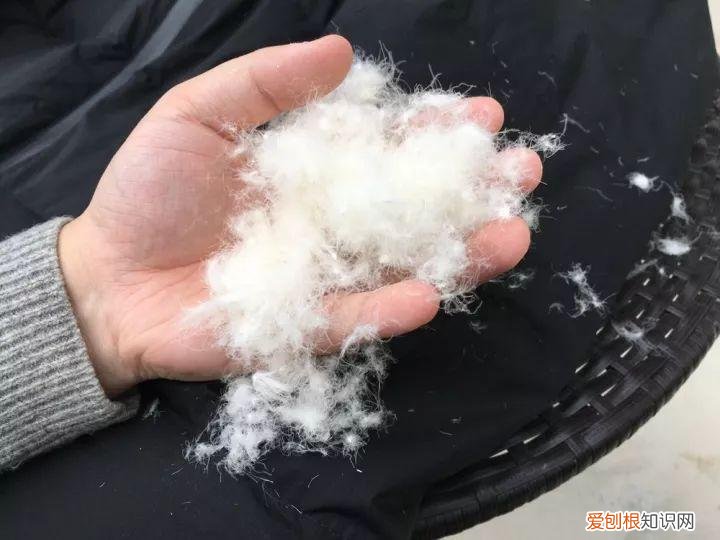 女士羽绒服品牌十大排名