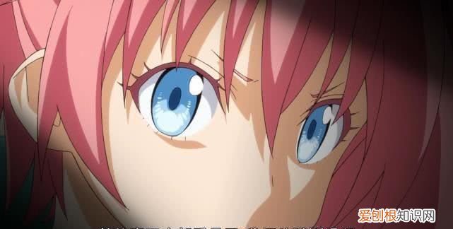 莉姆打拳哪一集