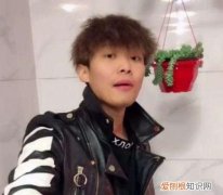 网红斌少真的是老板儿子吗，?2011年新一代网络红人是谁