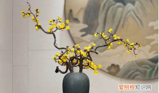 吸色澳梅是干花吗，澳洲腊梅可以做干花