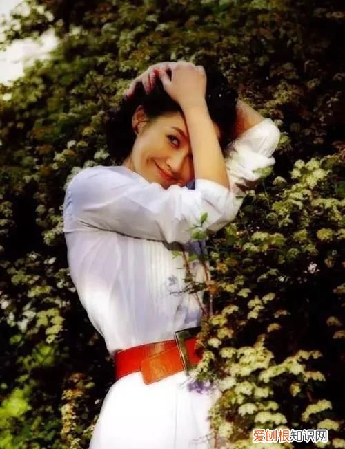 风韵犹存是好词吗，巴黎圣母院好词四字