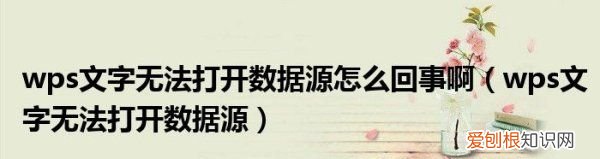 wpsword怎么删除空白页，WPS无法打开数据源怎么办