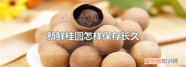 新鲜龙眼应该怎么保存,鲜龙眼怎么保存时间长