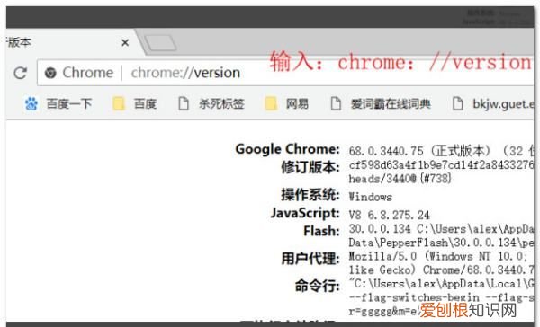 谷歌浏览器怎么设置主页,要咋才能设置谷歌浏览器的主页