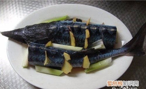 清炖鲟鱼家常做法，鲟鱼清炖怎么做好吃窍门