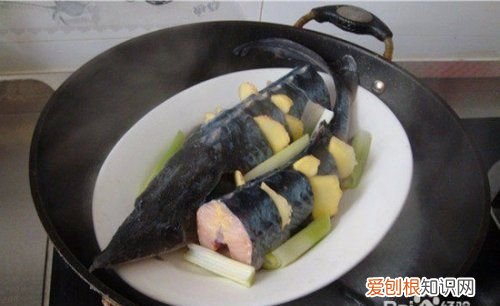 清炖鲟鱼家常做法，鲟鱼清炖怎么做好吃窍门